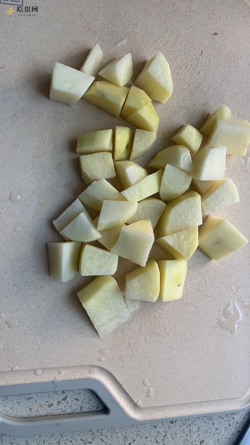 土豆炖排骨（红烧）的做法 步骤16