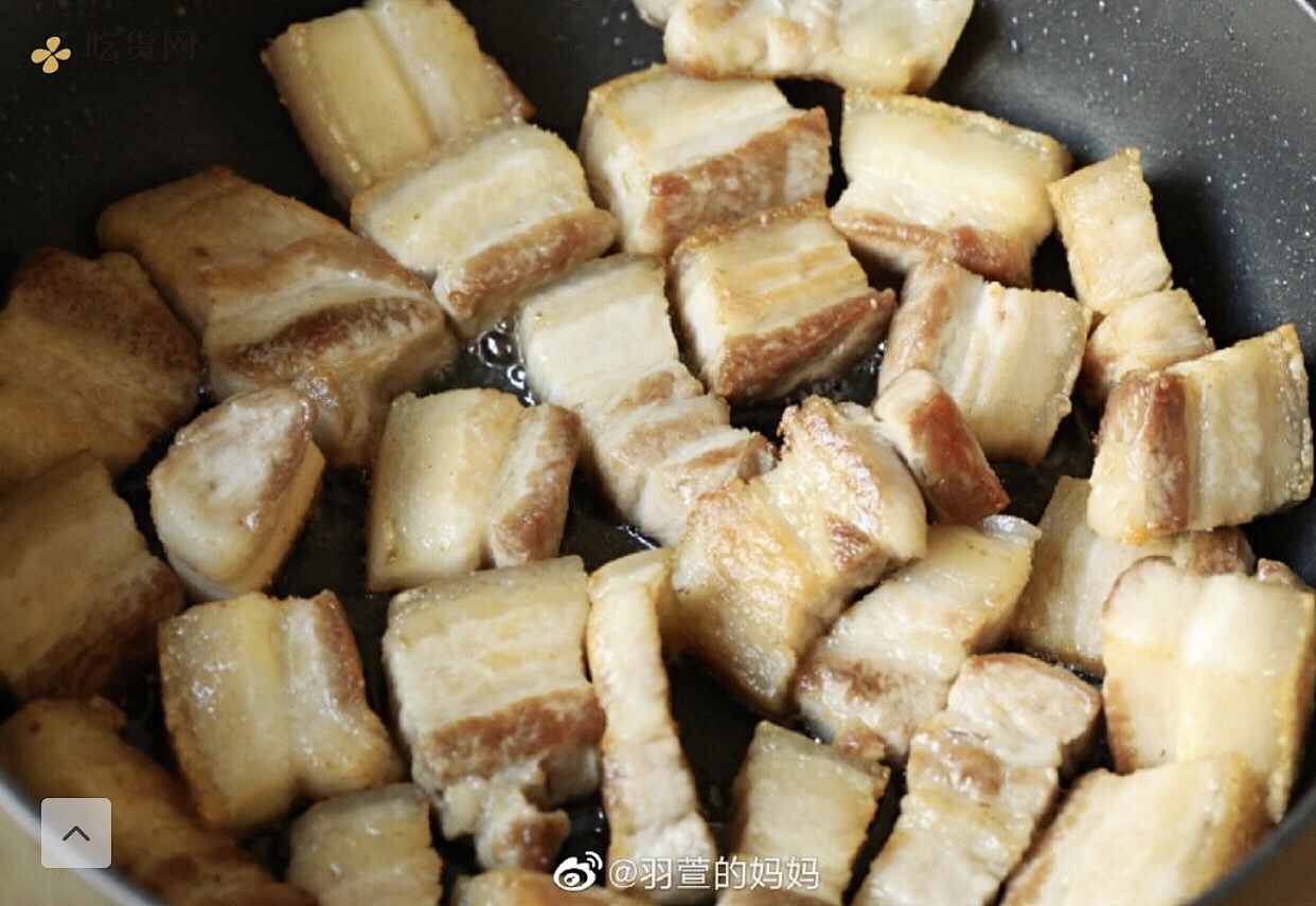 北鼎铸铁锅食谱｜梅干菜烧肉的做法 步骤8