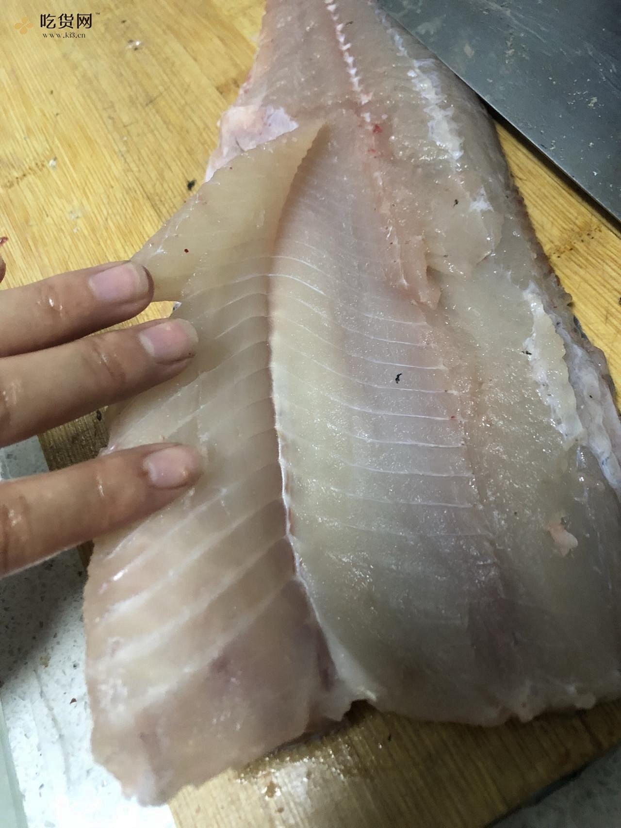 【片鱼】【蝴蝶片】水煮鱼酸菜鱼鱼片教程附视频的做法 步骤10