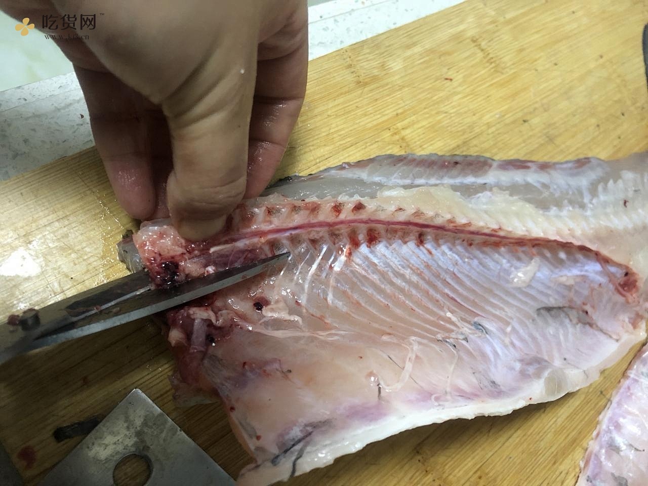 【片鱼】【蝴蝶片】水煮鱼酸菜鱼鱼片教程附视频的做法 步骤12