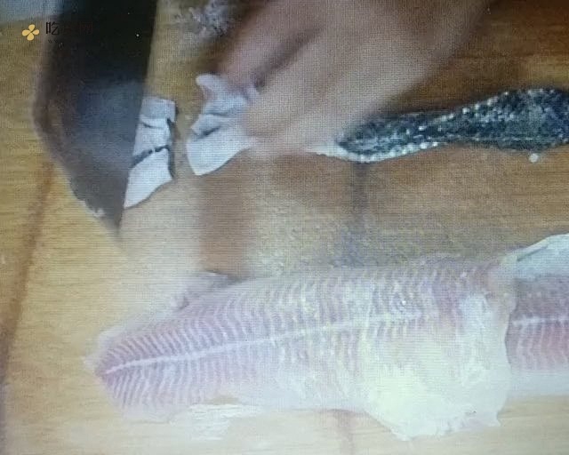 酸菜鱼（片鱼视频）黑鱼的做法 步骤5