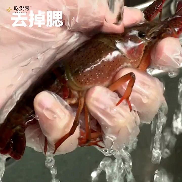 麻辣小龙虾的做法 步骤1