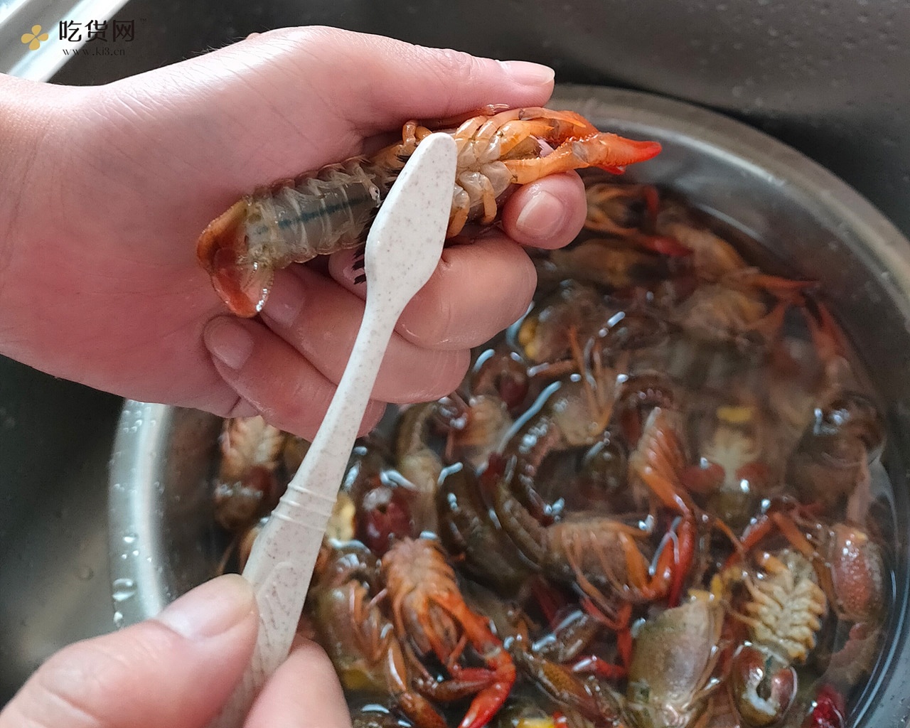 张立-麻辣小龙虾的做法 步骤1