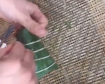 四角长粽子的包法（有视频）的做法 步骤5