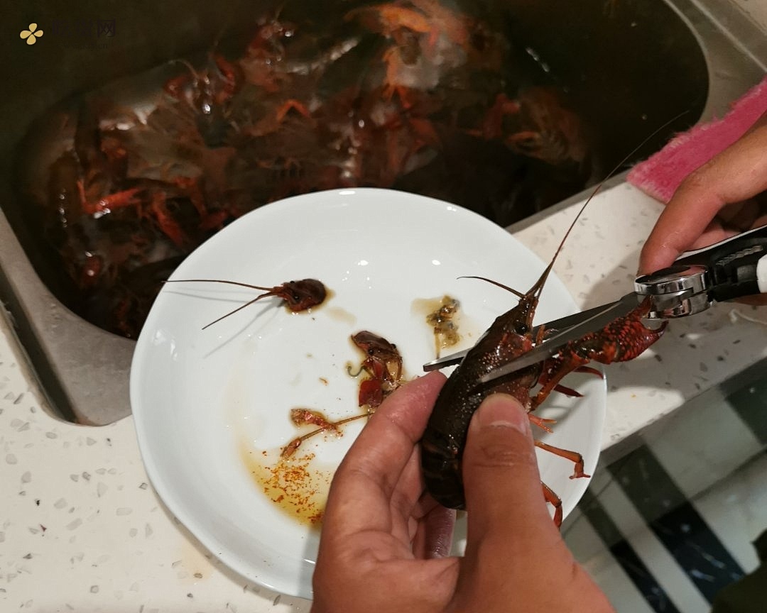 （你没吃过的）麻辣小龙虾的做法 步骤5