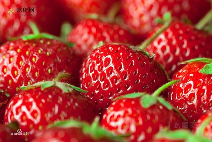 酸奶拌草莓可以减肥吗