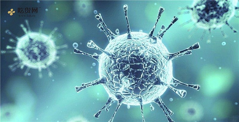 甲型流感病毒和乙型流感病毒区别