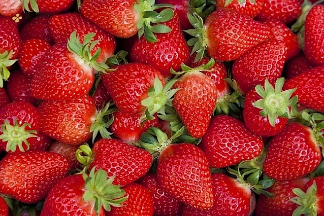 草莓的热量是多少大卡